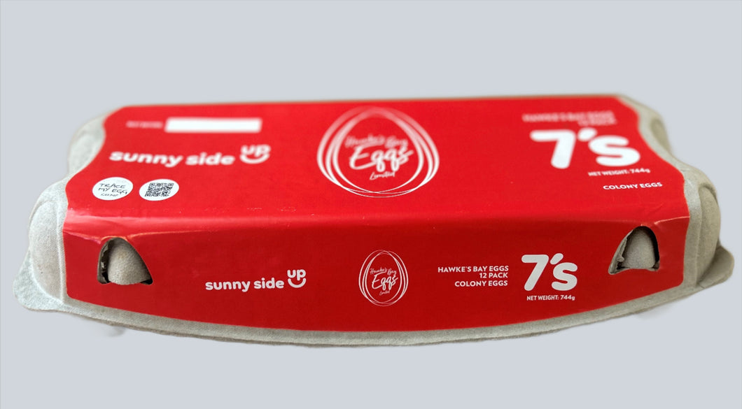 Sunny Side Up - Size 7 12 Pack